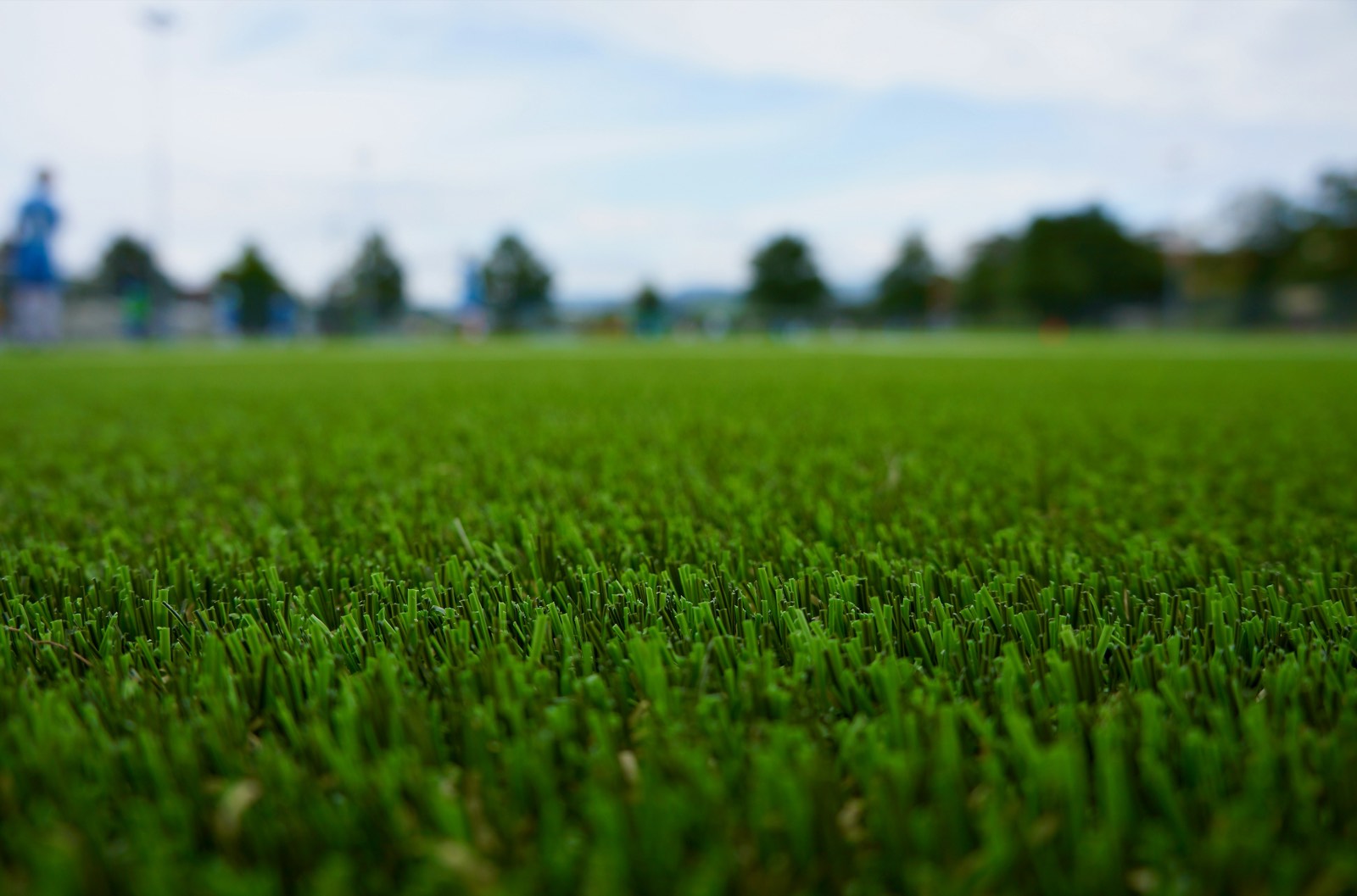 Pelouse verte dense et homogène après rénovation par Turf Management