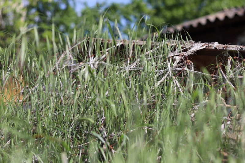 Terrain en friche avec herbes hautes à réhabiliter à Annecy